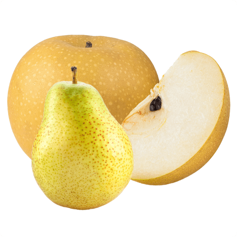 PearSeries