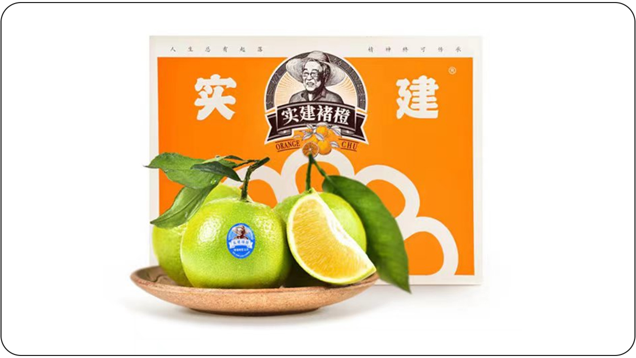 组 5